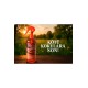 AMBER CLEAN KLİMA KÜF VE BAKTERİ TEMİZLEYİCİ KOKU - Renkli